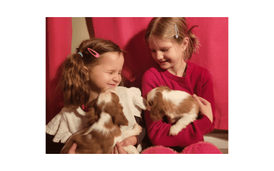 Raising Puppies With Kids: How Cavaliers Thrive in Family Life